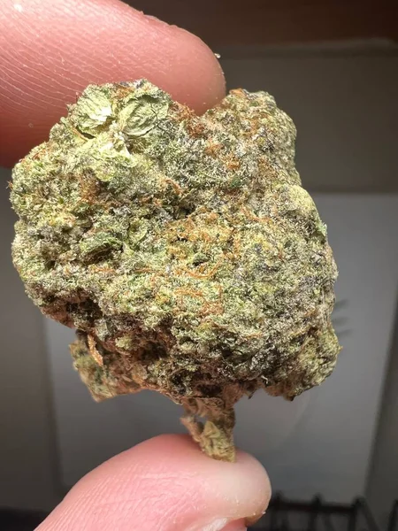Closeup High Quality Cannabis Sample — Stock Photo, Image