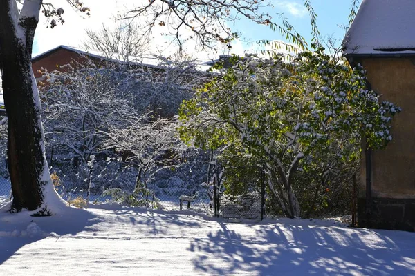 Los Árboles Edificio Cubierto Nieve Parque Local Día Soleado Invierno —  Fotos de Stock