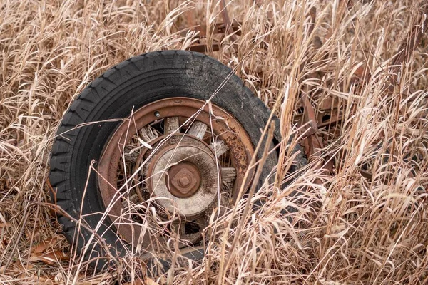 旧轮胎 有木制轮毂和金属轮缘 在干草地里 — 图库照片