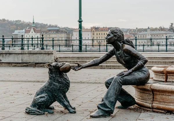 Дівчина Собакою Статуя Красивим Міським Пейзажем Будапешта Задньому Плані — стокове фото