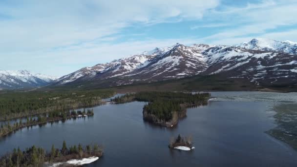 Una Filmación Drones Del Parque Nacional Denali Preserve Día Nublado — Vídeos de Stock