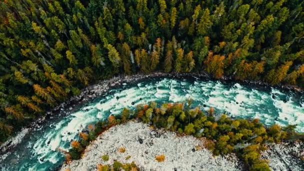 Pływająca Rzeka Jesienią Kanadzie — Wideo stockowe