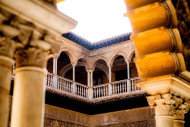 İspanya 'nın Sevilla kentindeki Teras de Doncellas bahçesinin düşük açılı manzarası.