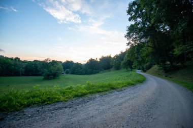 Doğadaki boş bir yolun güzel bir görüntüsü.