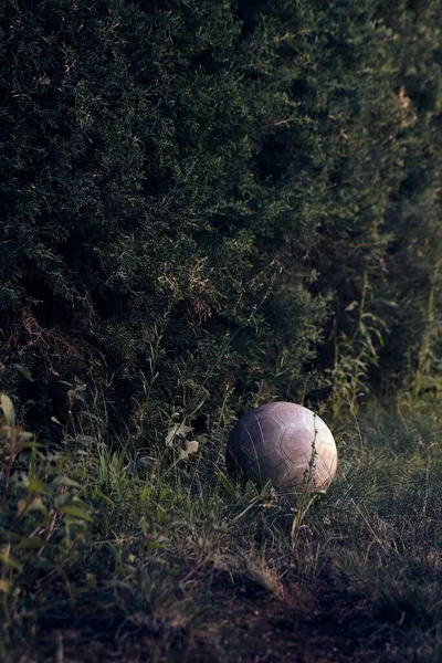 Uma Bola Couro Branco Grama — Fotografia de Stock