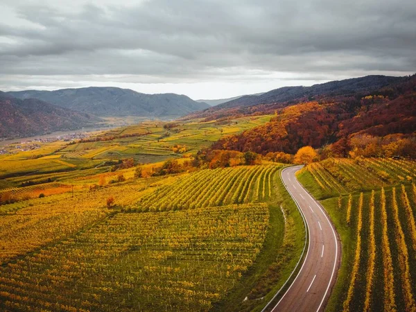 Adembenemende Herfst Shot Van Gebogen Weg Omgeven Door Prachtige Kleurrijke — Stockfoto