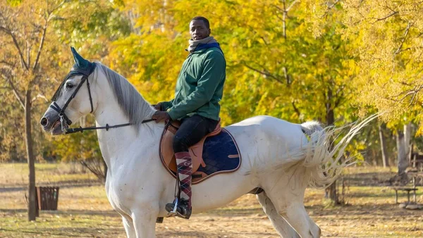 Male Jockey Riding White Horse Training Autumnal Trees — Stock Photo, Image