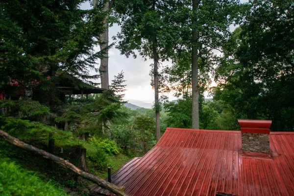 Ein Rotes Dach Umgeben Von Bäumen Einem Park — Stockfoto