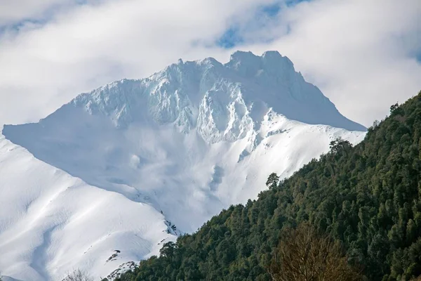 Een Besneeuwde Bergtop Met Bos Voorgrond Chili — Stockfoto