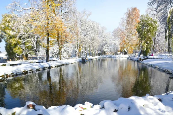 Ein Kleiner Wasserteich Einem Lokalen Park Umgeben Von Schneebedeckten Bäumen — Stockfoto