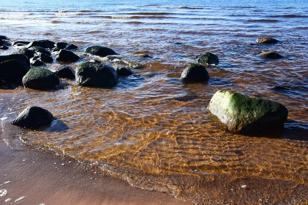 stock image A rocky shore of the lake