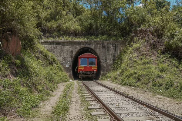 Поезд Въезжающий Туннель Покрытый Деревьями Растениями Шри Ланки — стоковое фото