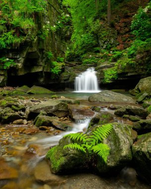 Ormanda akan güzel bir şelalenin dikey görüntüsü.