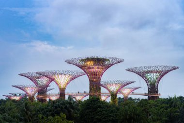 Körfez kenarındaki bahçelerin kuleleri alacakaranlıkta, Singapur 'da aydınlatıldı.
