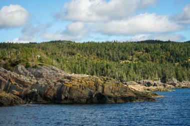 Arka planda geniş bir orman, orta yerde küçük uçurumlar ve ön planda deniz var. Newfoundland, Kanada 'da