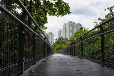 Singapur 'daki Telok Blangah Tepesi Parkı' nda bir köprü.