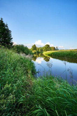 Ağaçlarla çevrili tarlalar arasında akan nehrin dikey görüntüsü.