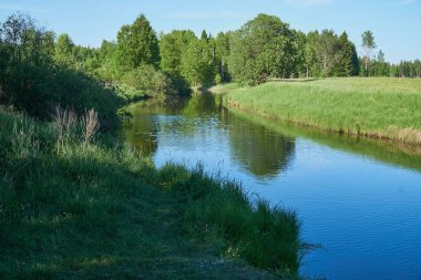 Ağaçlarla çevrili tarlalar arasında akan nehrin güzel bir görüntüsü.