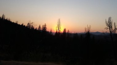 Güneş dağın arkasında batıyor öndeki ağaçların gölgesinde