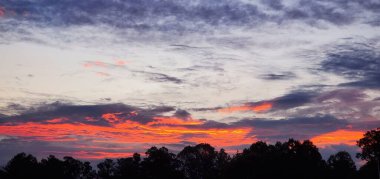 Gün batımında ağaçların siluetiyle bulutlu bir gökyüzü manzarası