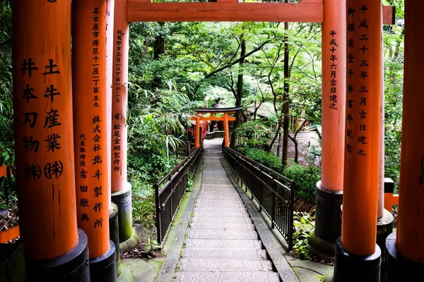 Tiro Vertical Caminho Sob Portões Torii Vermelhos Kyoto Japão Com — Fotografia de Stock