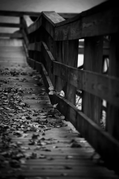 湖の近くの木製の桟橋の垂直グレースケールショット — ストック写真