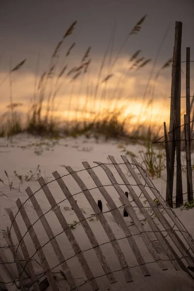 在落日的背景下 沙滩上一道篱笆和草丛的垂直拍 — 图库照片