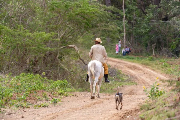 馬に乗って帽子をかぶったキューバの農民 — ストック写真