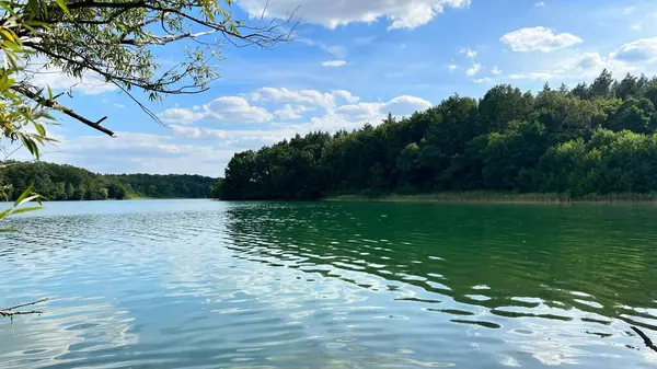 Красивий Вид Спокійне Озеро Оточенні Дерев — стокове фото