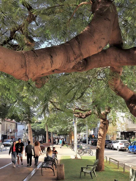 Pionowe Ujęcie Rothchild Avenue Zielonymi Drzewami Ludźmi — Zdjęcie stockowe