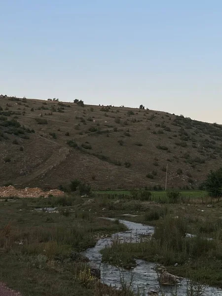 Eine Vertikale Aufnahme Eines Flusses Fließt Einem Feld Mit Einem — Stockfoto