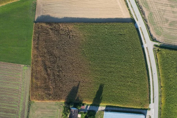 晴れた日に収穫の準備ができている緑の農地や作物の空中ビュー — ストック写真