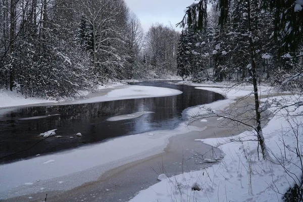Río Que Está Ligeramente Congelado Medio Bosque Durante Temporada Invierno —  Fotos de Stock