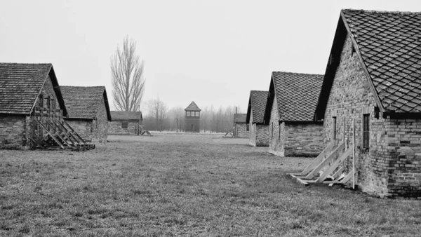 Veduta Scala Grigi Degli Edifici Del Campo Concentramento Auschwitz Oswiecim — Foto Stock