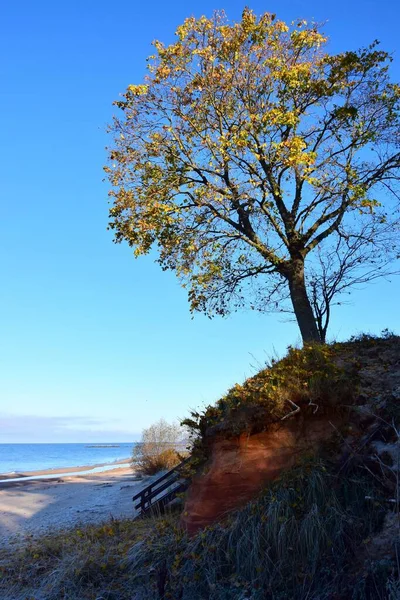 해변의 모래가 해변에 클로즈업 — 스톡 사진