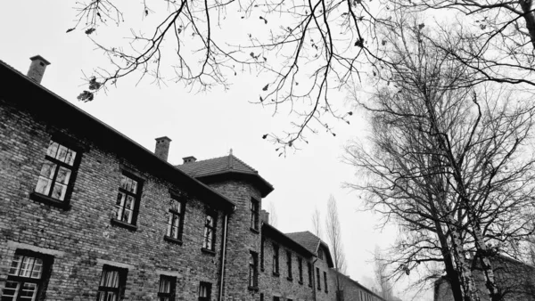 Grayscale Shot Auschwitz Concentration Camp Autumn — Stock Photo, Image