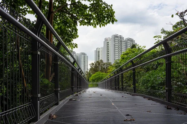 Singapur Daki Telok Blangah Tepesi Parkı Nda Bir Köprü — Stok fotoğraf