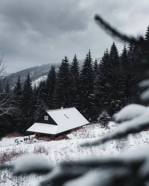 チェコ共和国ベスキディ山の松林に雪に覆われた木造小屋の垂直 — ストック写真