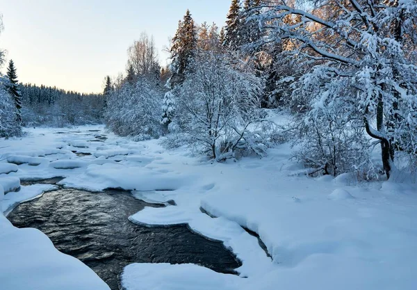 森林结冰了一条河 — 图库照片