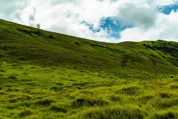 Una Hermosa Vista Campo Verde Día Nublado — Foto de Stock