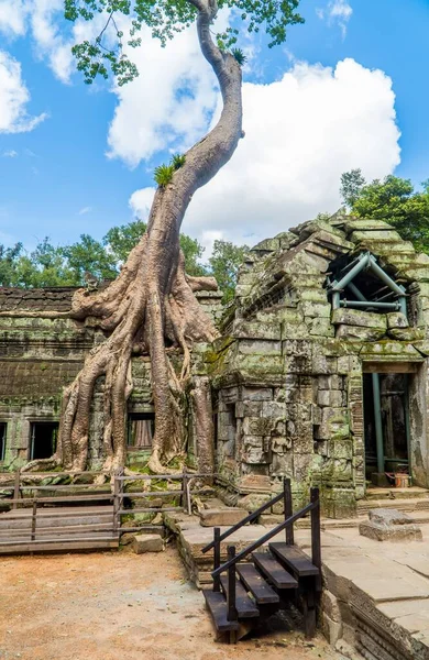 Μια Κάθετη Βολή Του Ναού Prohm Μέσα Στο Συγκρότημα Angkor — Φωτογραφία Αρχείου