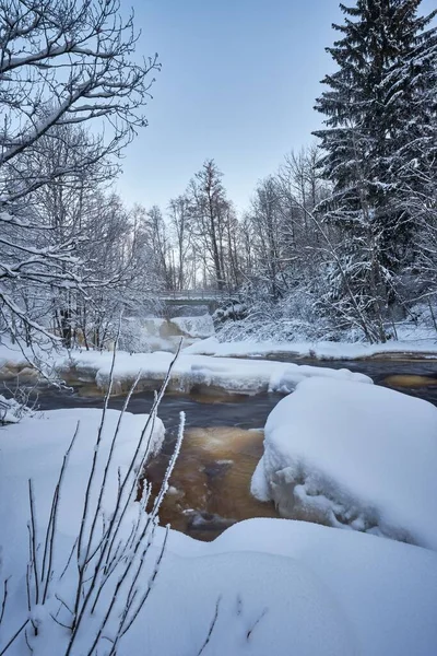 Nehrin Karlı Ormanda Aktığı Uzun Süre Maruz Kaldığı Bir Kış — Stok fotoğraf