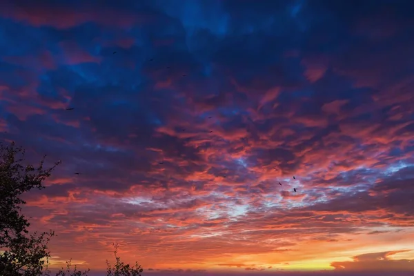 夕暮れ時のカラフルな曇り空の美しい景色 — ストック写真