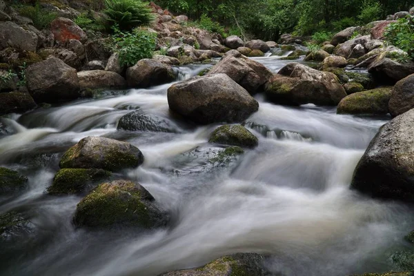 森の中の岩肌を覆う水の高い角度の長さの露出ビュー — ストック写真