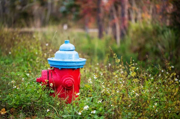 Nahaufnahme Eines Feuerhydranten Auf Einem Feld Mit Blumen — Stockfoto