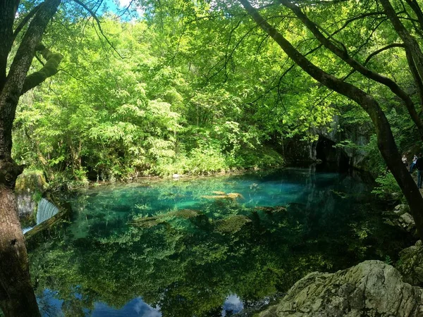 鮮やかな空の下 緑豊かな木々に囲まれた透き通ったターコイズブルーの池の息をのむような景色 — ストック写真