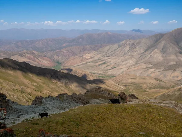 Прекрасный Вид Горы Тянь Шань Возле Озера Сон Коль Кыргызстан — стоковое фото