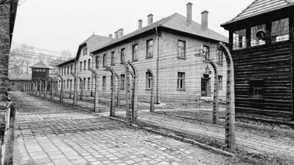 Sonbaharda Auschwitz Toplama Kampının Gri Tonlu Bir Görüntüsü — Stok fotoğraf