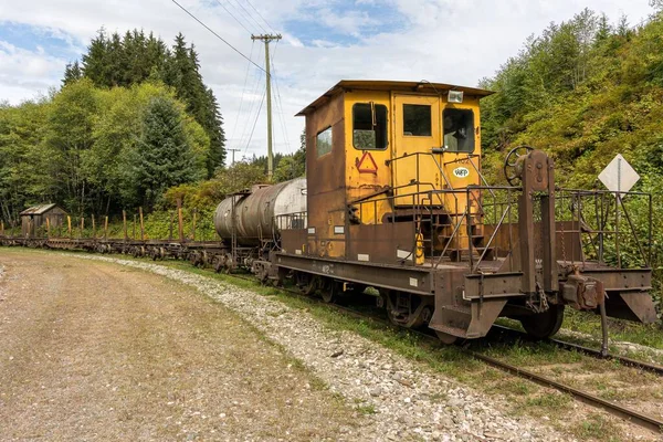 Egy Öreg Fakitermelő Vonat Kocsija Erdőben — Stock Fotó