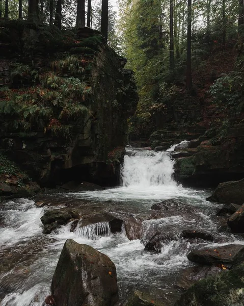 Una Vertical Río Que Fluye Través Bosque Verde Las Montañas — Foto de Stock